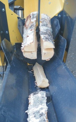 Malkų skaldyklė REGON R1 (TR) - Image 2