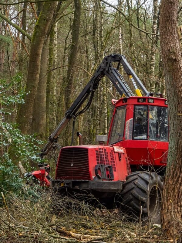 home-about home-about