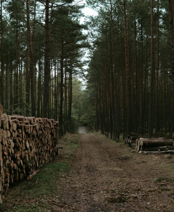 our-clients-2 our-clients-2